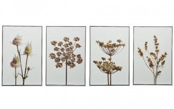 Cuadros con marco de flores secas 40X60CM