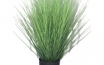 Hierba verde en maceta 60cm