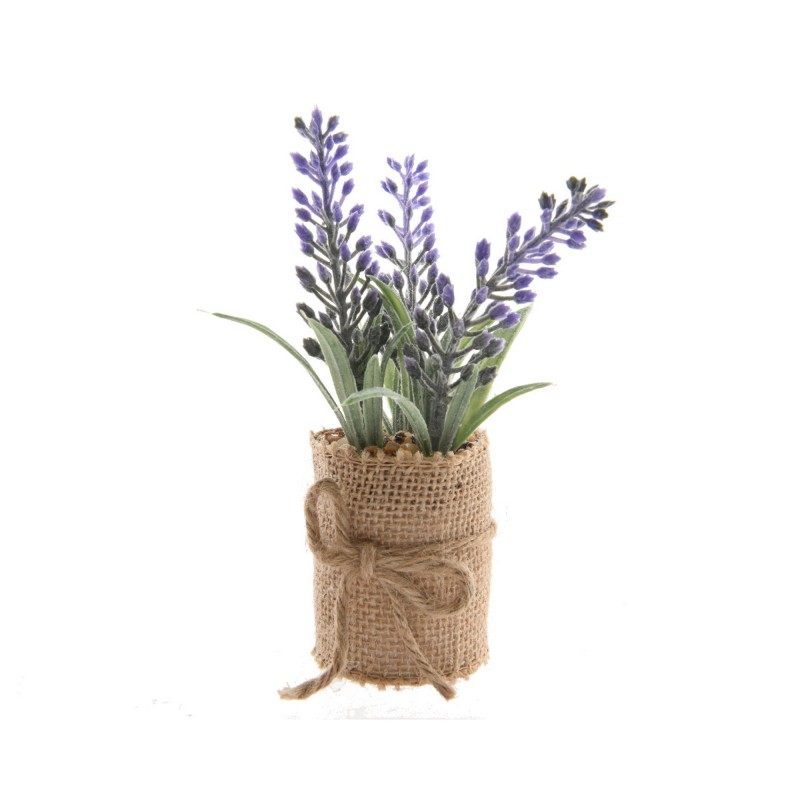 Miniplanta de lavanda en maceta de yute 12CM - mueblescartó