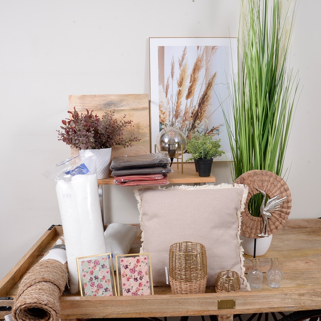 SALON - MUEBLES CON DECORACION (50 PZ)