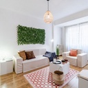 SALON - MUEBLES CON FUNDAS (24 PZ)