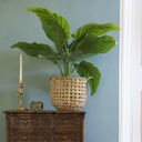 ***TARO PLASTIC GREEN L91-W91-H90cm