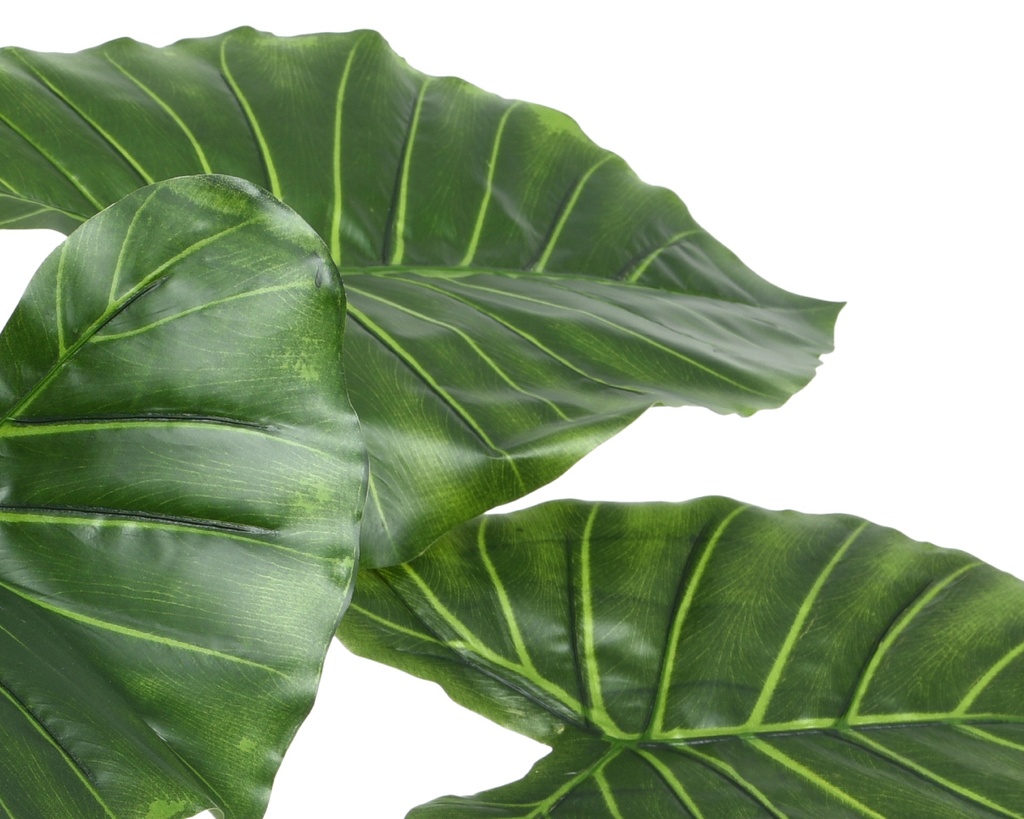 ***TARO PLASTIC GREEN L91-W91-H90cm