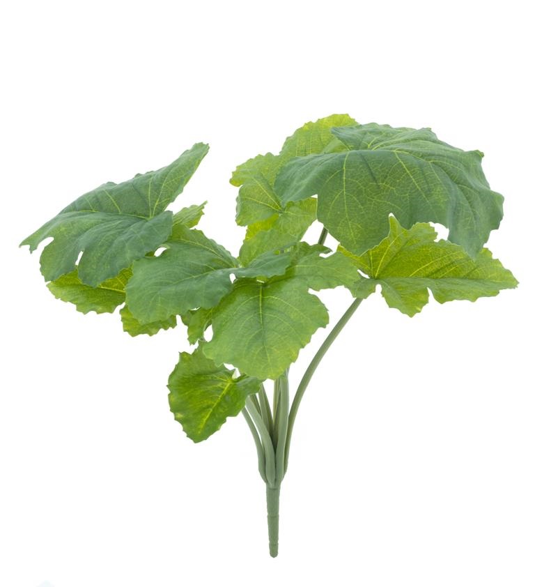 Croton bush green 45cm