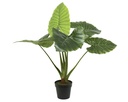 ***TARO PLASTIC GREEN L91-W91-H90cm