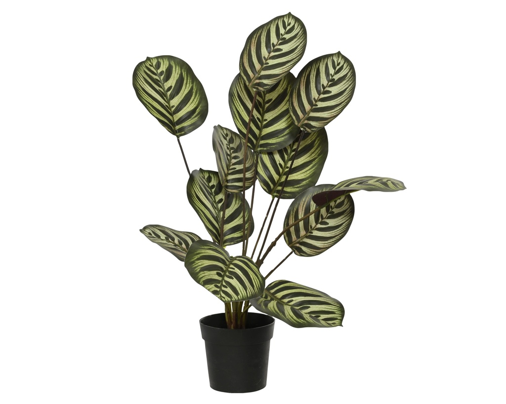 ***PLANT PE GREEN dia30-H55cm