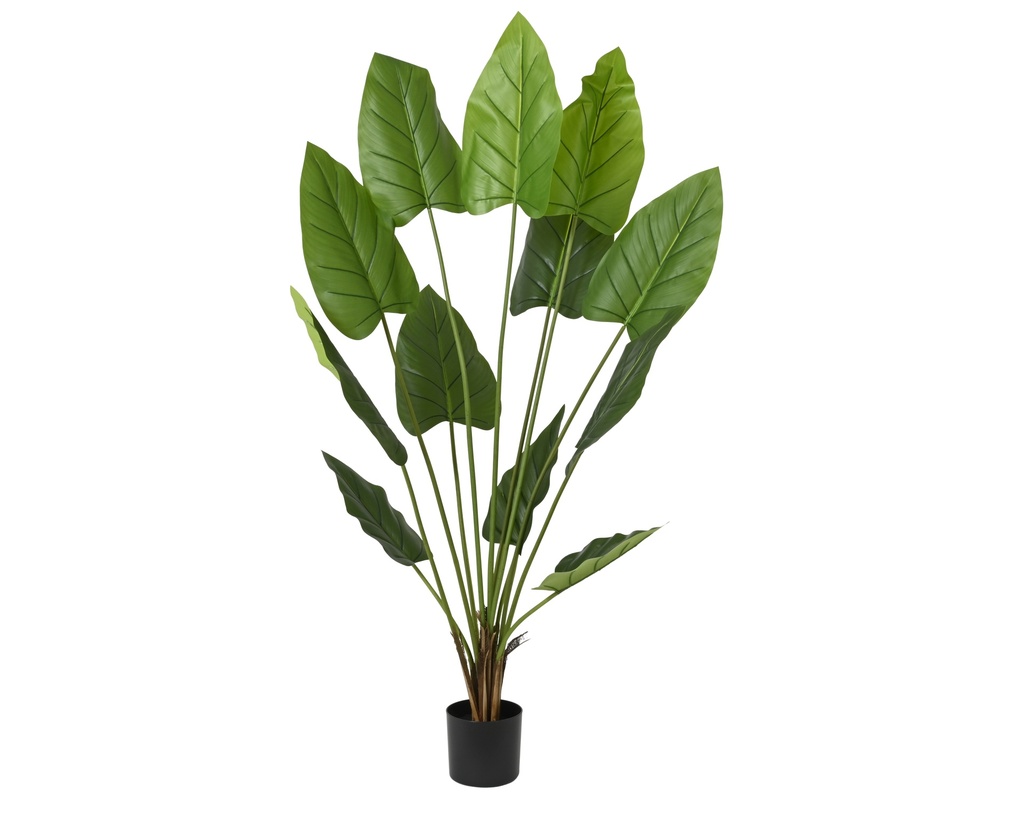 ***PLANT PE GREEN L90-W90-H180cm