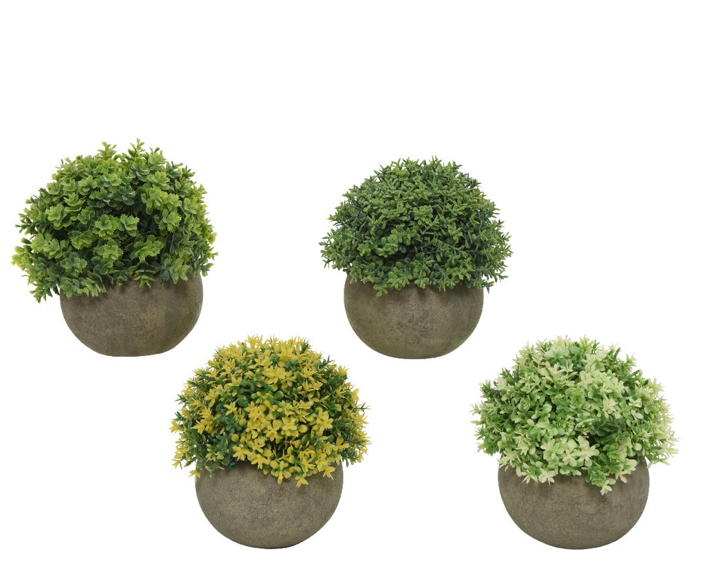 PLANTITA EN MACETA - 4 COLORES - PRECIO UNIDAD