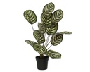 ***PLANT PE GREEN dia30-H55cm